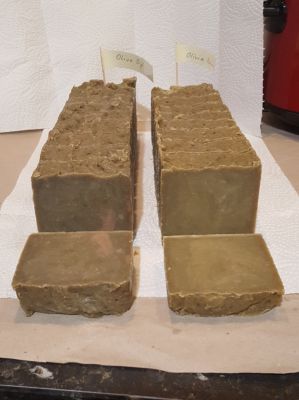 20210821_000129_OliveOylHP-li_OliviaPalmerHP-re_geschnitten_400.jpg
